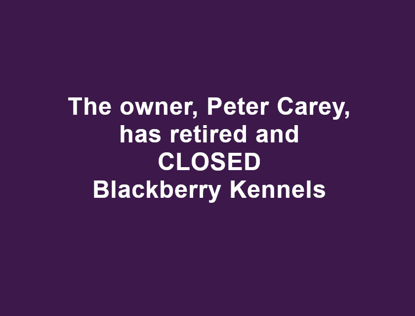 Blackberry Kennels is now open by appointment only