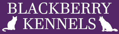 Blackberry Kennels, Newbridge, County Kildare - Happy Holidays for you and your pet
