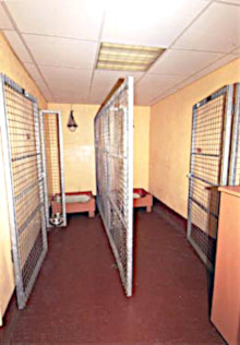 spacious sleeping kennels